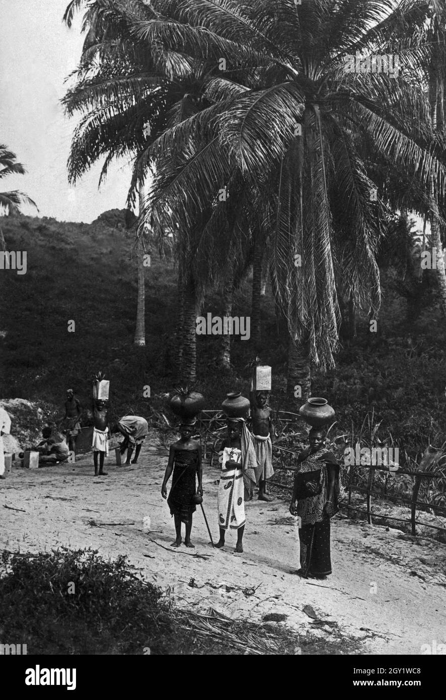 Ölpalme mit Wasserquelle nahe Dar es Salam, Deutsch-Ostafrika 1900er Jahre. Source d'eau avec palmier à huile africain près de Dar es Salam, Afrique de l'est allemande des années 1900. Banque D'Images