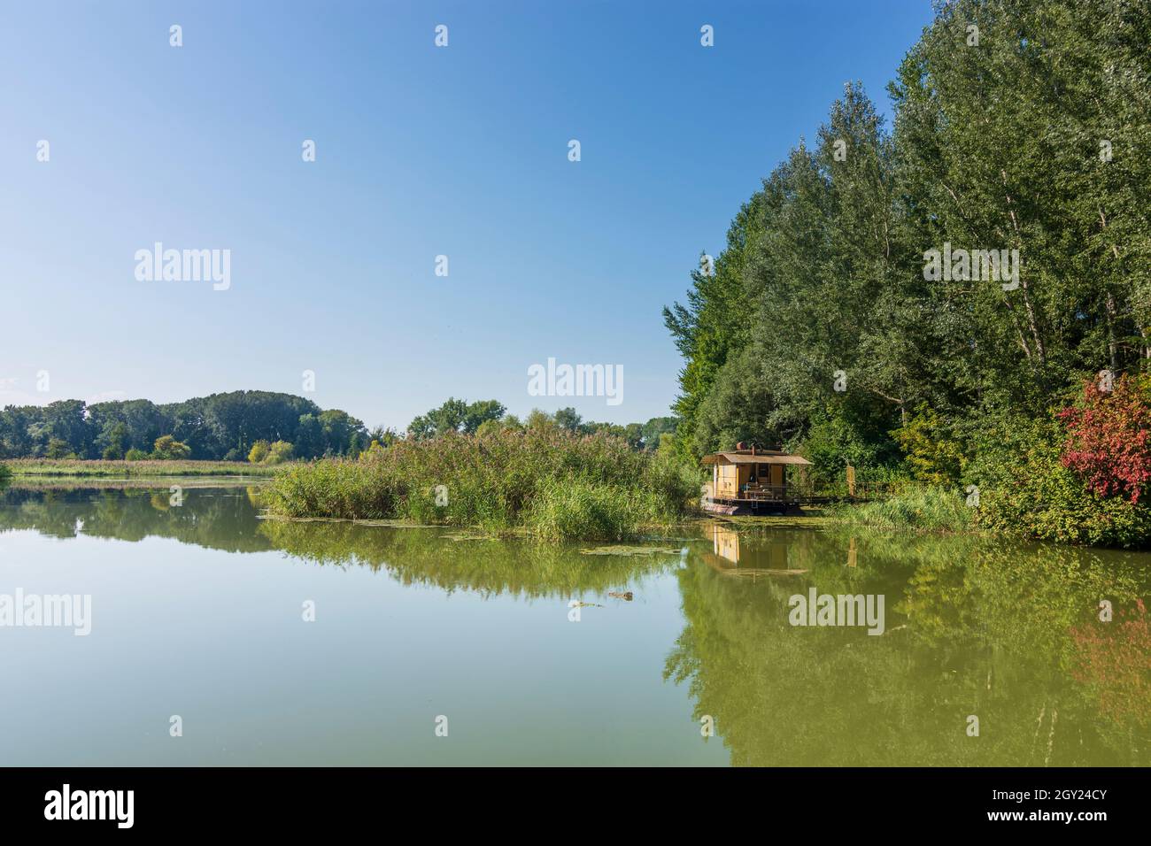 Zitny ostrov (Grande île de Rye, Große Schüttinsel): Anabranch, bras du Danube, forêt, bateau à Dunajske luhy (plaines inondables du Danube), , Slovaquie Banque D'Images