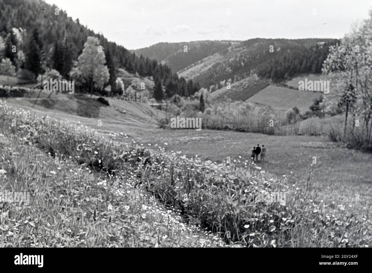 Wanderer Feld auf einem im Donautal bei Wildenstein, Deutschland 1930 er Jahre. Les randonneurs debout sur un champ dans le Danube Dale, Allemagne 1930. Banque D'Images