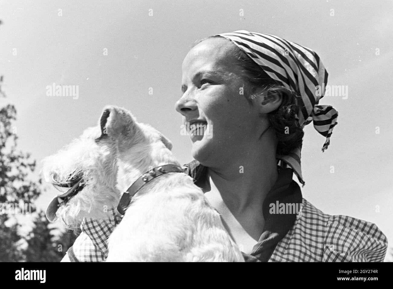 Porträt einer jungen Frau mit einem Terrier auf einer Blumenwiese, Freudenstadt, Deutschland 1930 er Jahre. Portrait d'une jeune femme avec un terrier sur un champ de fleur, Freudenstadt, Allemagne 1930. Banque D'Images