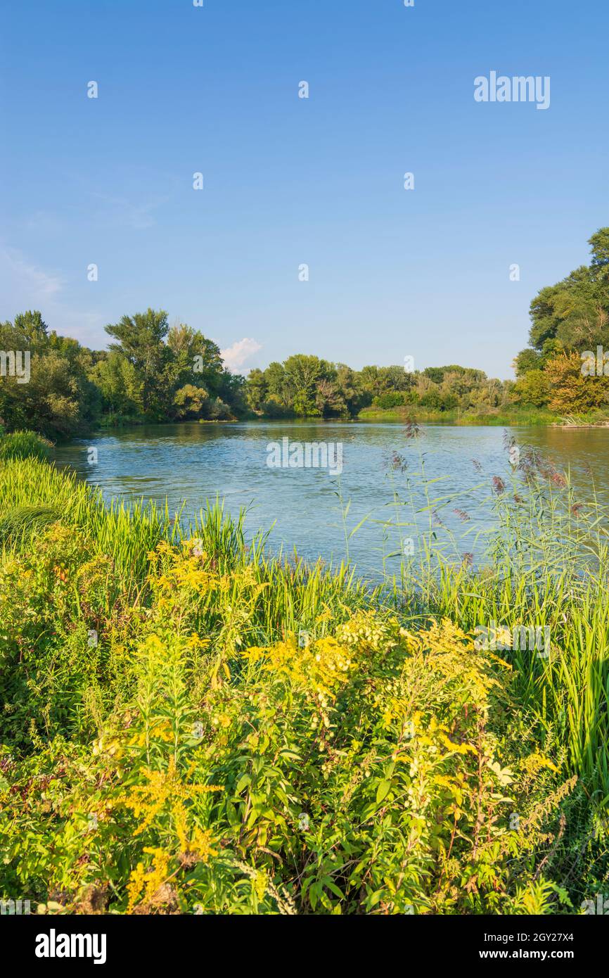 Zitny ostrov (Grande île de Rye, Große Schüttinsel): Lac oxbow, anabranch, bras du Danube, forêt dans la luhy de Dunajske (plaines inondables du Danube), , slovaque Banque D'Images