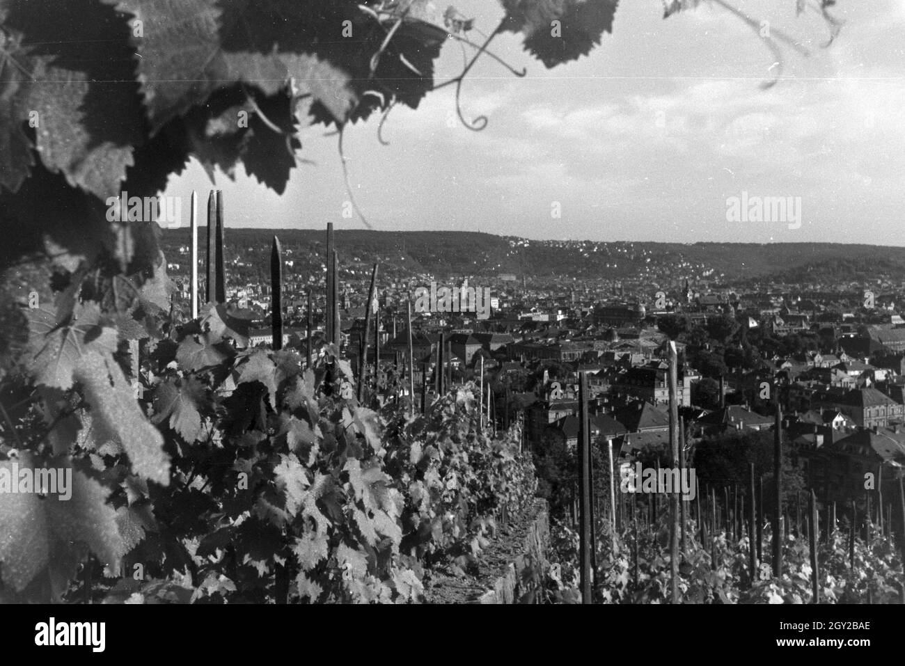 Blick auf den Weinhängen von Stuttgart aus Deutschland, 1930er Jahre. Vue panoramique sur les vignobles de Stuttgart, Allemagne 1930. Banque D'Images