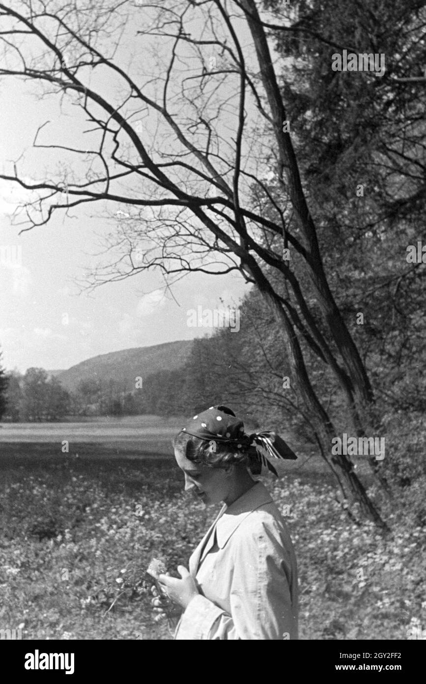 Ein Ausflug in den Schwarzwald, Deutsches Reich 1930er Jahre. Un voyage dans la Forêt-Noire, Allemagne 1930. Banque D'Images