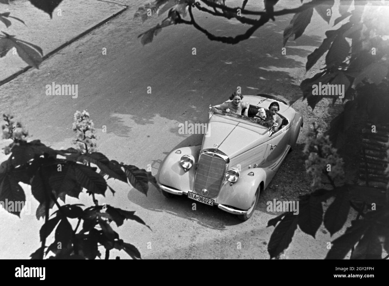 Ein Ausflug nach Freiburg im Breisgau, Deutsches Reich 1930er Jahre. Une excursion à Freiburg im Breisgau, Allemagne 1930. Banque D'Images