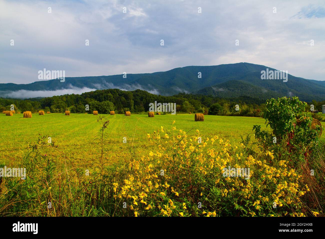 Les balles de foin ponctuent les champs verts derrière une petite clôture avec une grande montagne grise en arrière-plan du paysage Banque D'Images