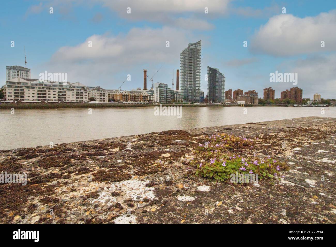 Vue depuis le sentier de la Tamise à Battersea à Wandsworth (Angleterre, Royaume-Uni, Europe) à mesure que la douceur se poursuit Banque D'Images