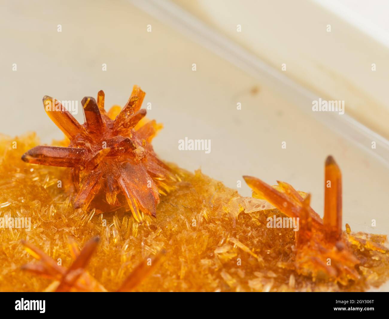 échantillon de minéraux australiens crocoïtés Banque D'Images