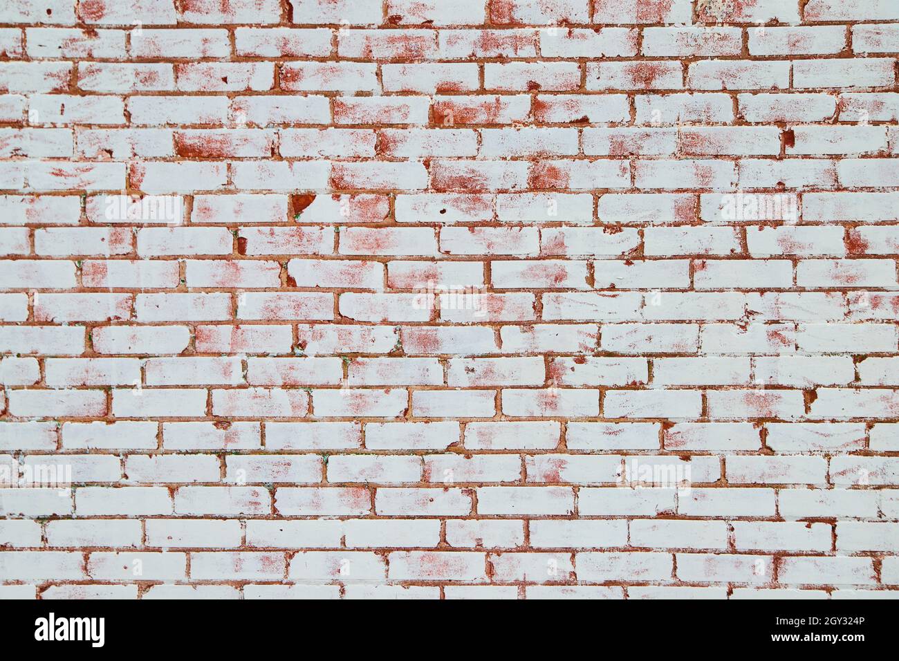 Texture de mur de briques blanc et rouge Banque D'Images