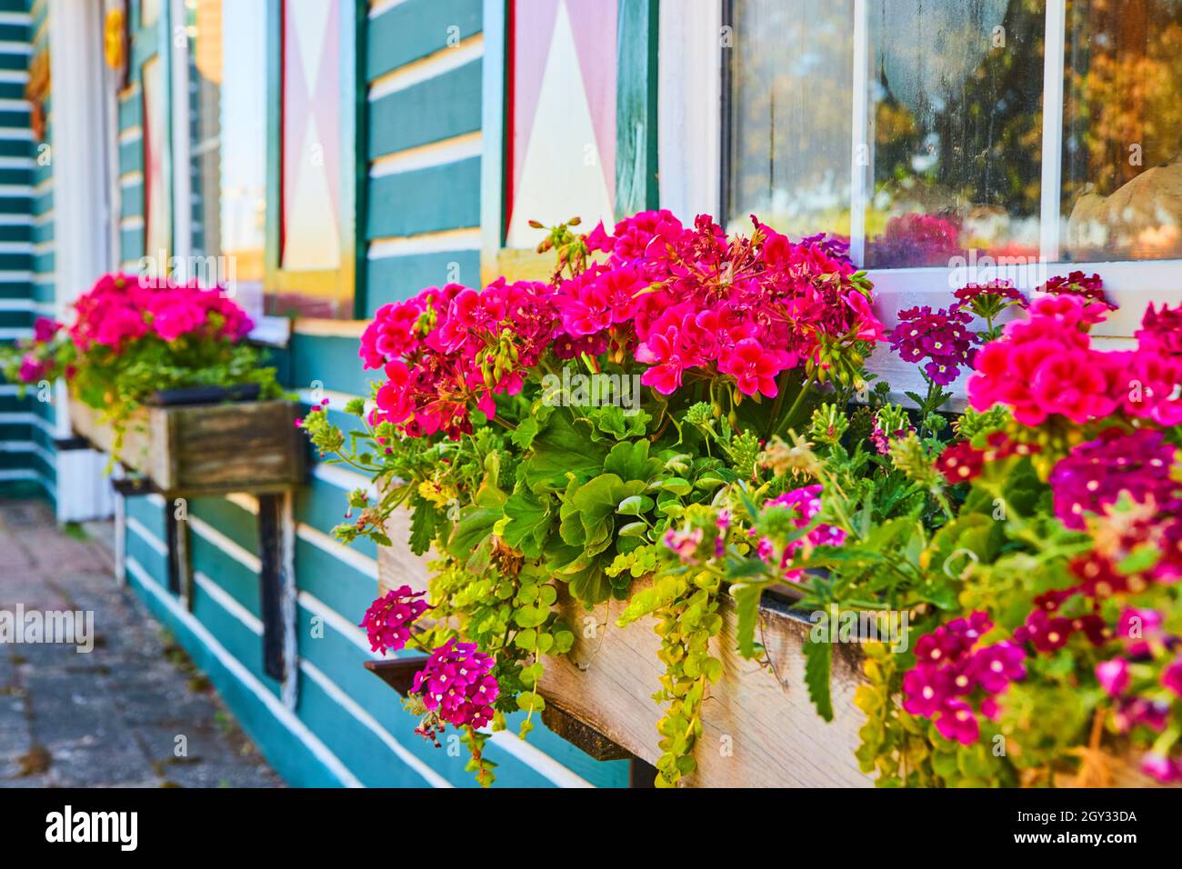 Jardinières de fleurs roses de près Banque D'Images
