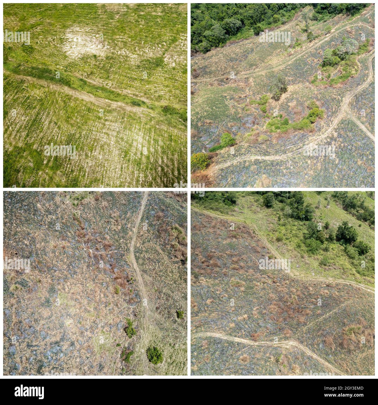 Collage d'images des motifs abstraits et des textures d'un paysage avec des lignes traversant - drone aérien Banque D'Images