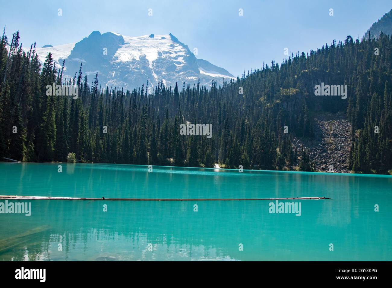 Un lac de montagne turquoise avec un arbre mort flottant au milieu il y a un sommet de montagne couvert de neige en arrière-plan Banque D'Images
