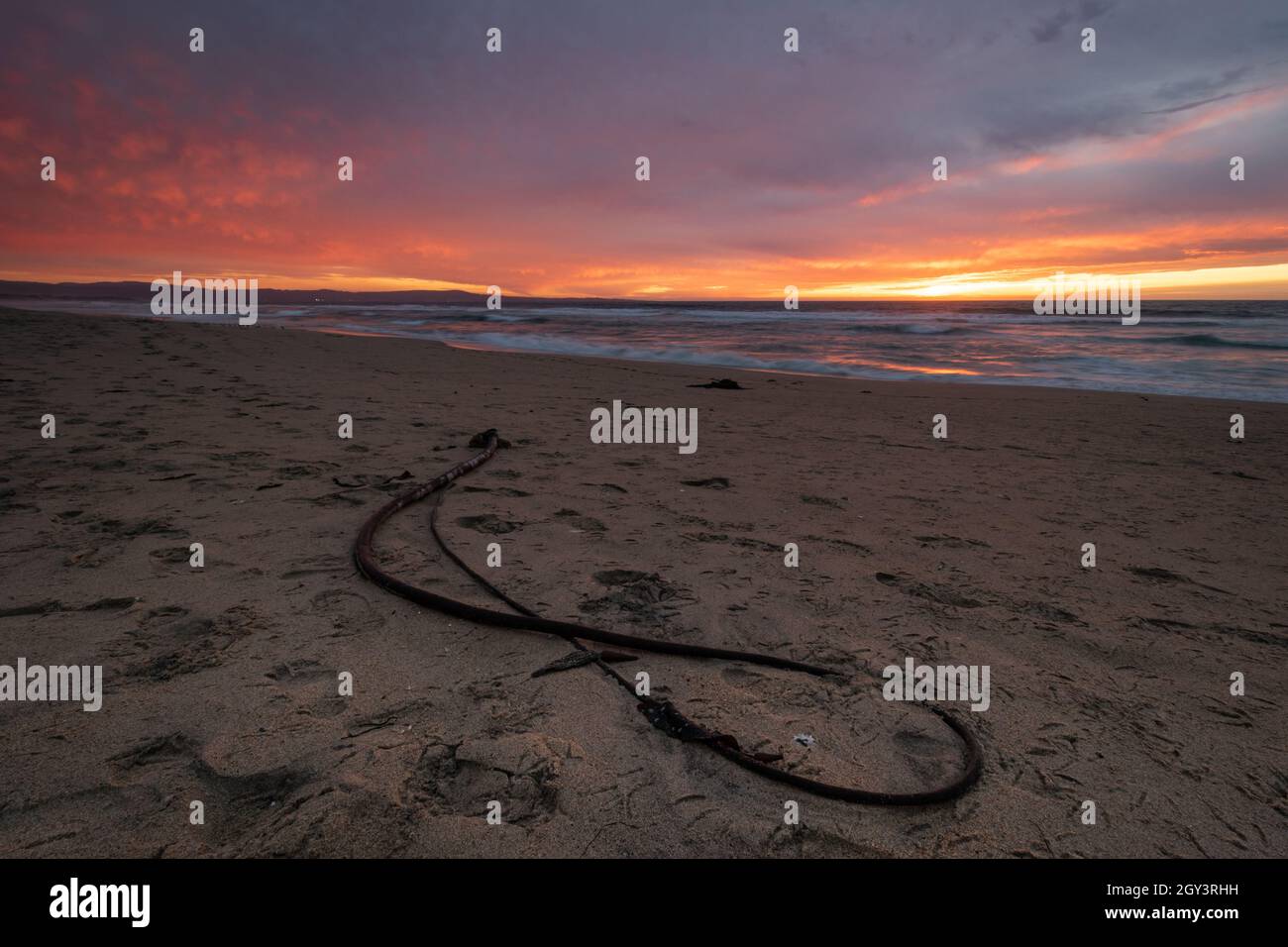 Coucher de soleil sur la plage avec varech Banque D'Images