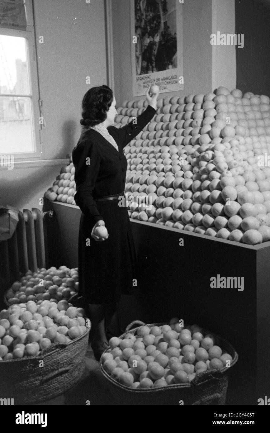 Angestellte der Leipziger Frühjahrsmesse vor einem Stand mit, 'Der stumme Apfelsinen ; Deutschland 1941. Employé de la Leipziger Frühjahrsmesse devant un stand avec des oranges espagnoles ; l'Allemagne 1941. Banque D'Images
