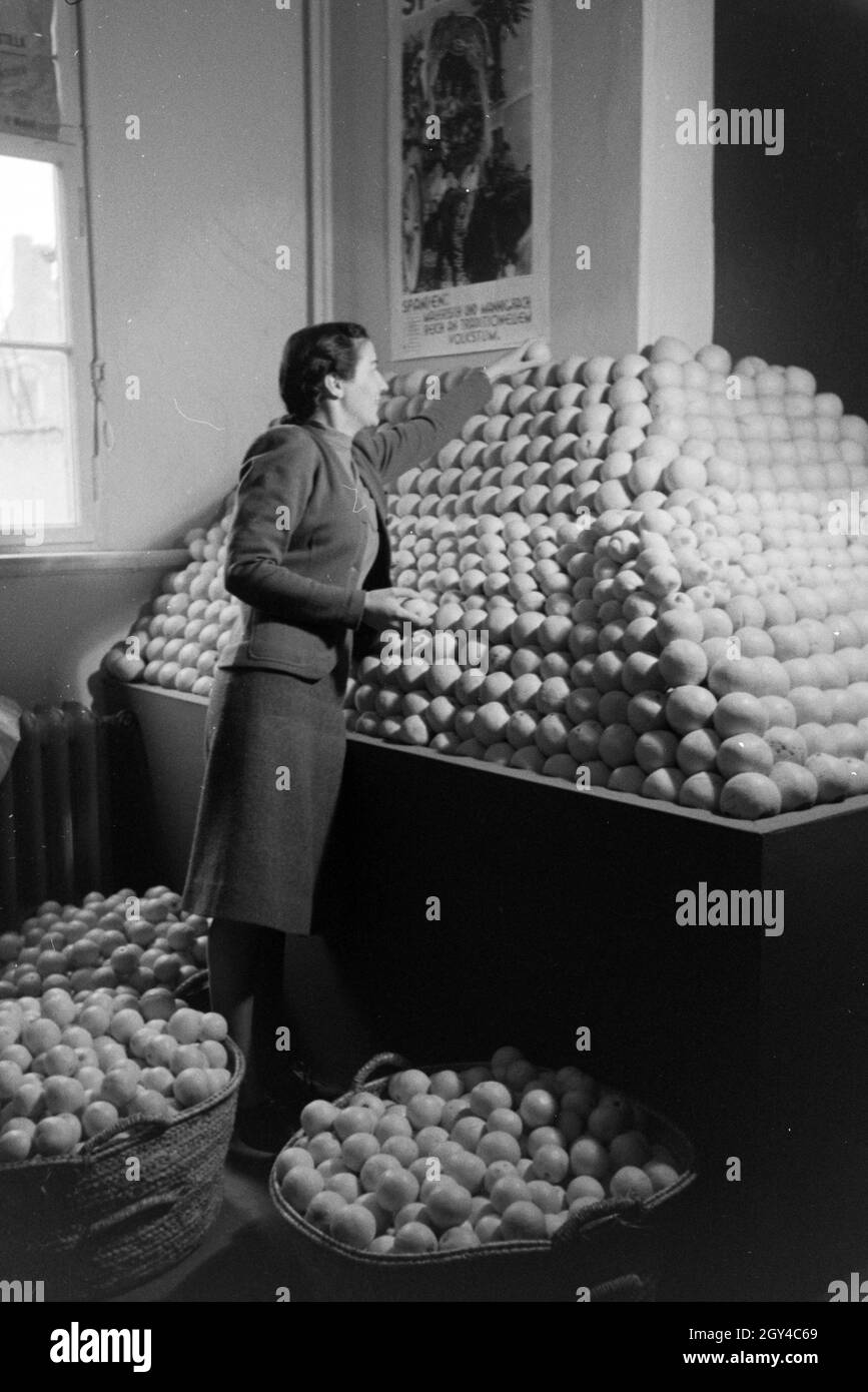 Angestellte der Leipziger Frühjahrsmesse vor einem Stand mit, 'Der stumme Apfelsinen ; Deutschland 1941. Employé de la Leipziger Frühjahrsmesse devant un stand avec des oranges espagnoles ; l'Allemagne 1941. Banque D'Images