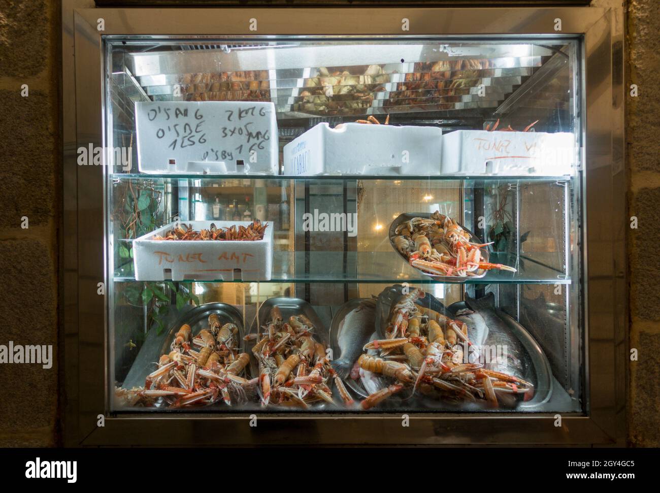 Langoustines exposées dans un restaurant galicien, espagne. Banque D'Images