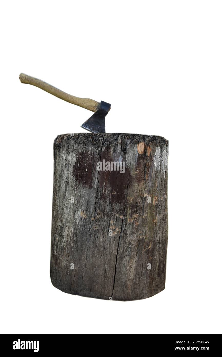 Une hache est martelée dans un grand bloc de bois d'en haut.Photographié sur un fond blanc pour la découpe. Banque D'Images