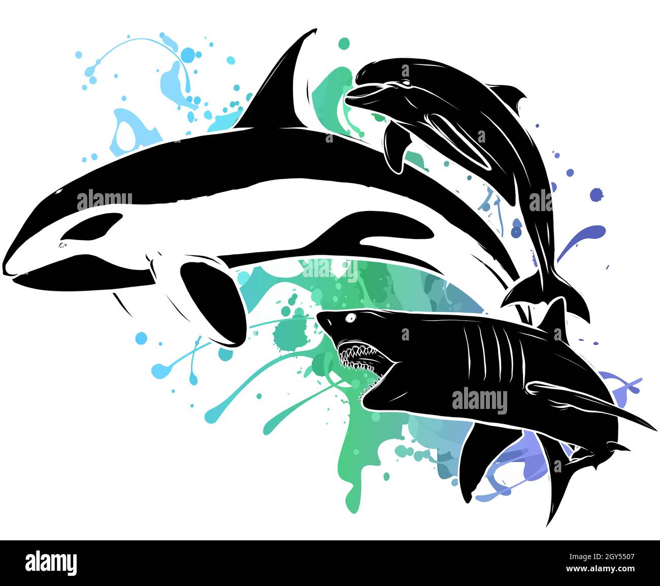 silhouette de requin et dauphin Illustration de Vecteur