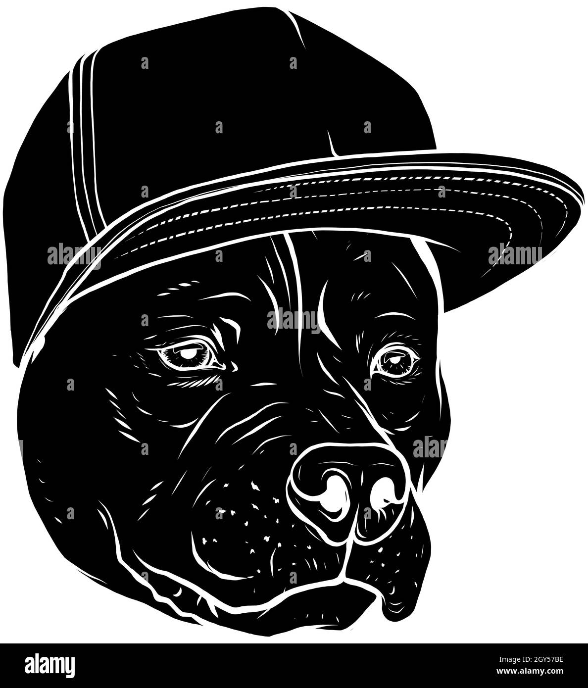 Illustration vectorielle noir et blanc tête de chien de race pit Bull dans Cap. Illustration de Vecteur