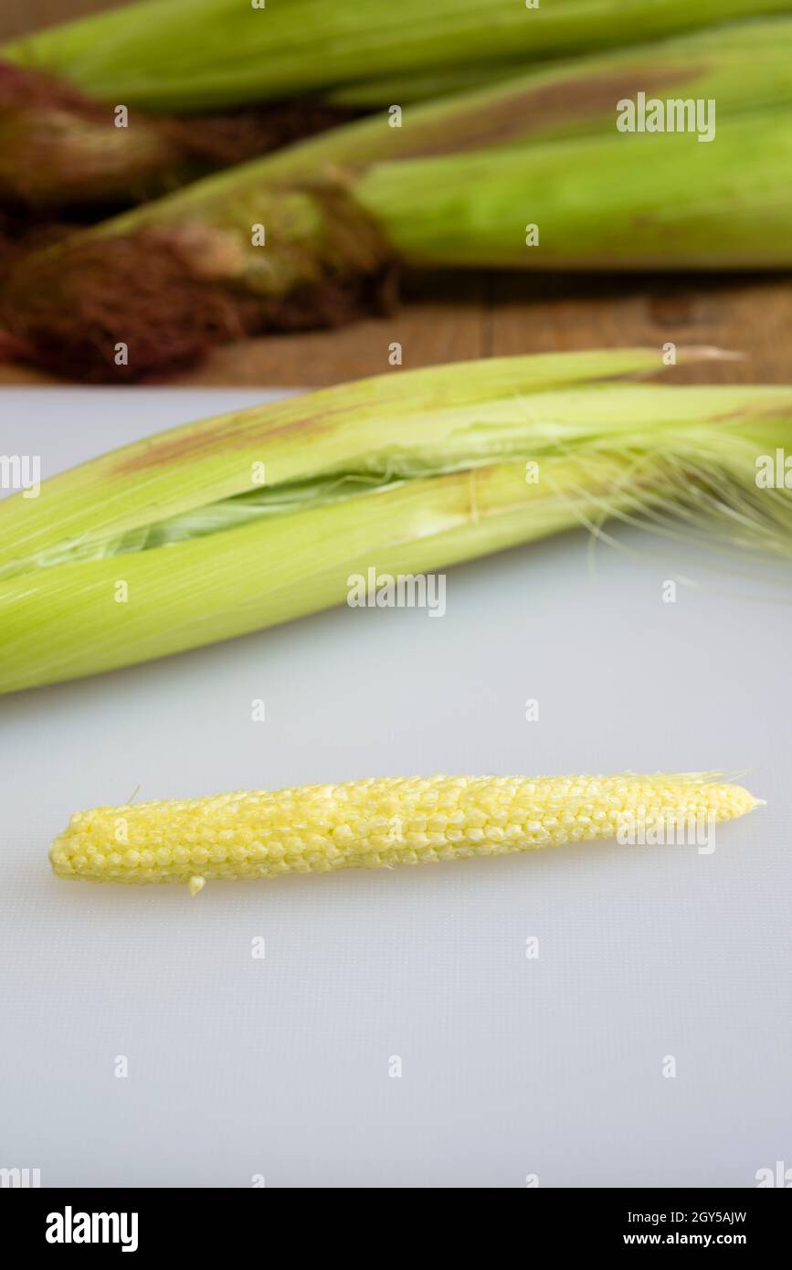 Maïs doux fraîchement décortiqué / maïs-bébé sur une planche à découper blanche. Banque D'Images
