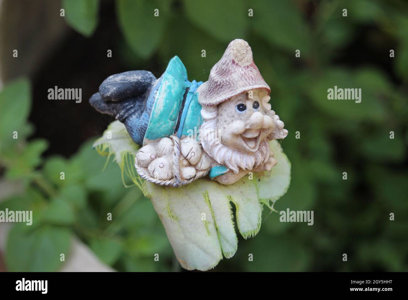 Figurine de gnome drôle dans le jardin Banque D'Images