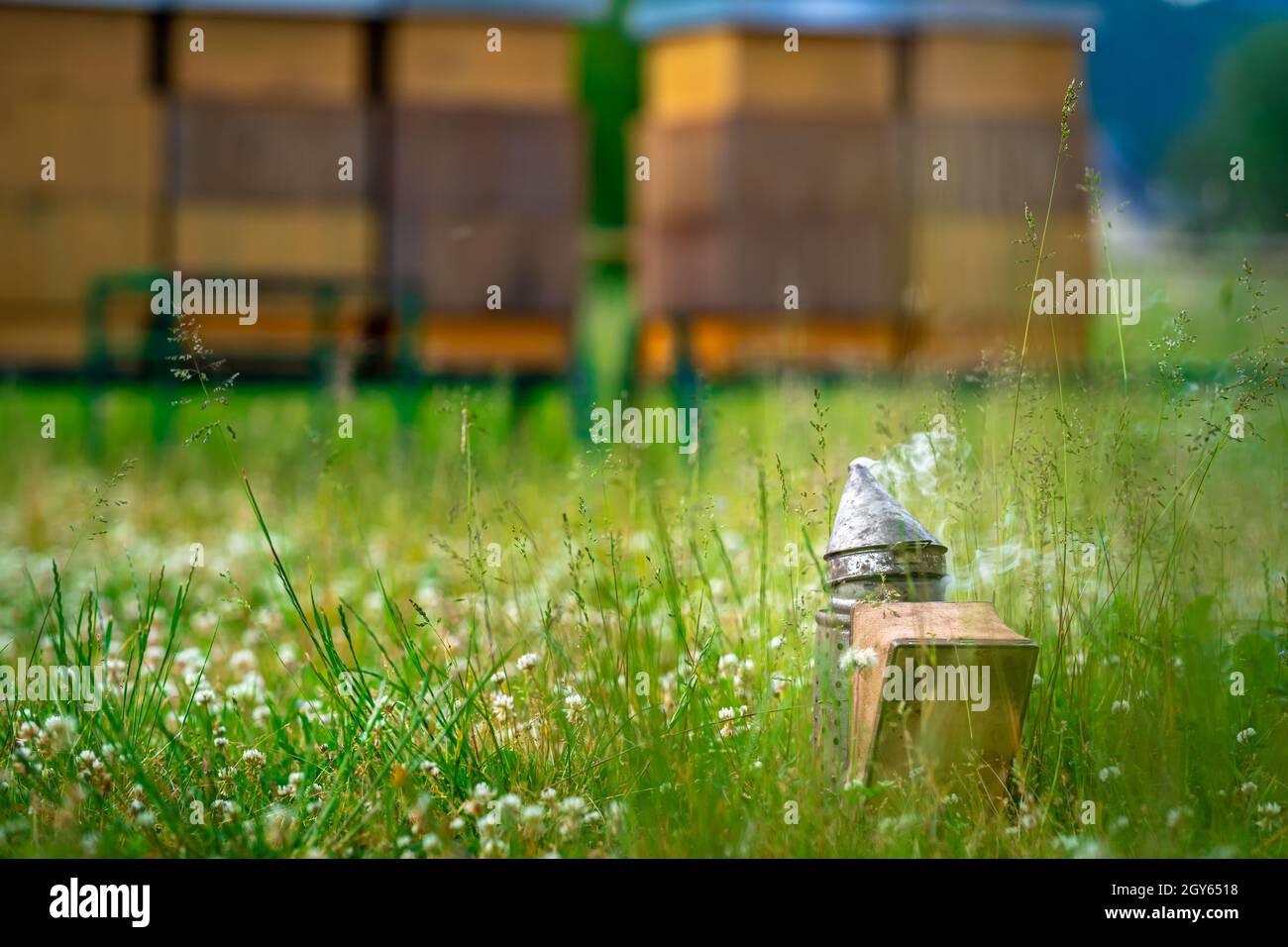 ruche d'abeille fumée lors de la manipulation des abeilles, de la cire et du miel. Banque D'Images