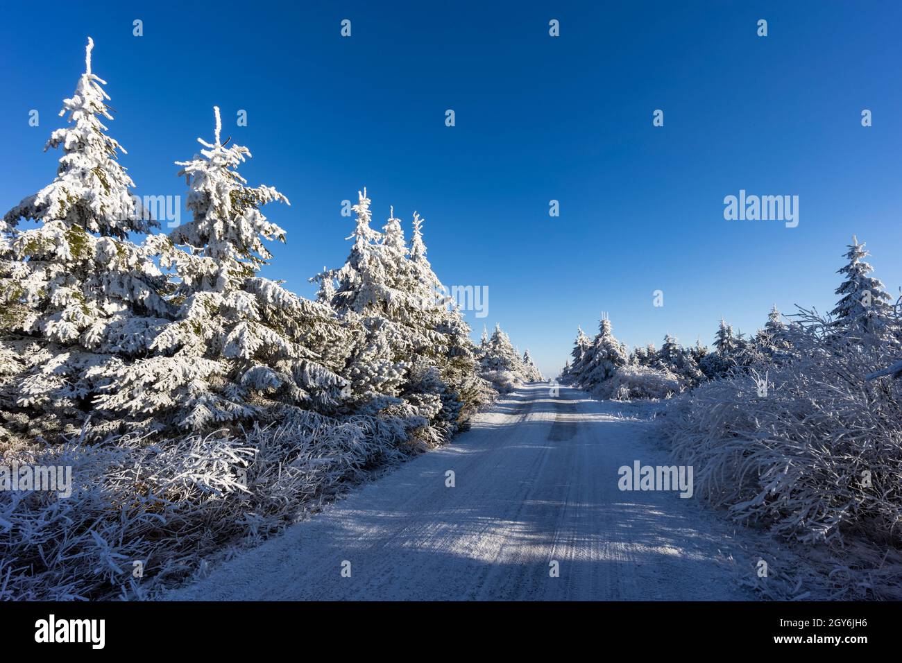 Paysage d'hiver près de Velka Destna, Orlicke montagnes, Bohême de l'est, République tchèque Banque D'Images