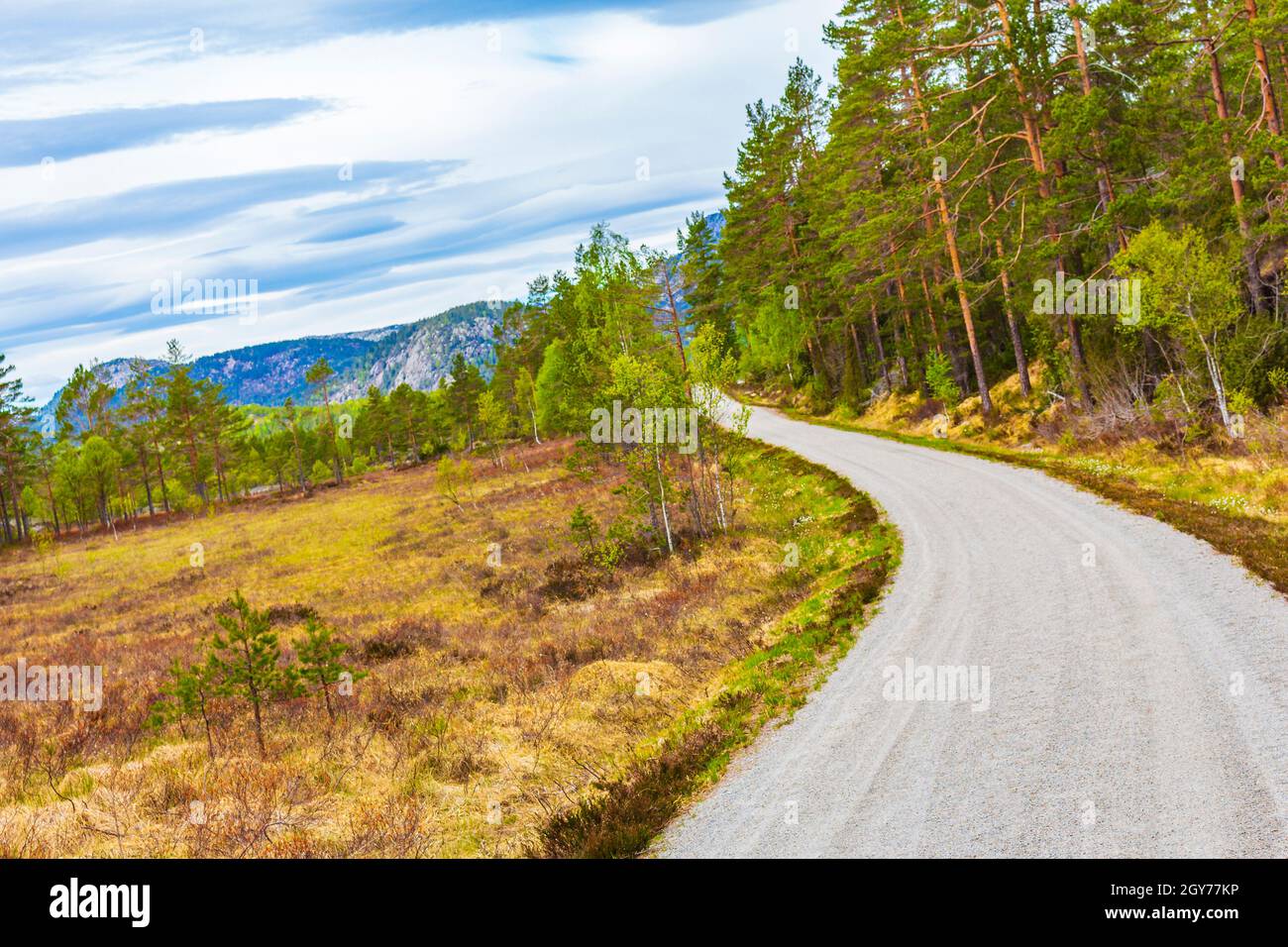 Randonnée chemin de randonnée chemin de chemin vers les montagnes nature forêts et paysage Nissedal Norvège. Banque D'Images