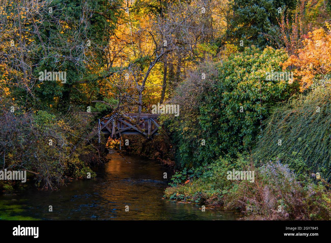 Bade-Wurtemberg : paysages d'automne Banque D'Images