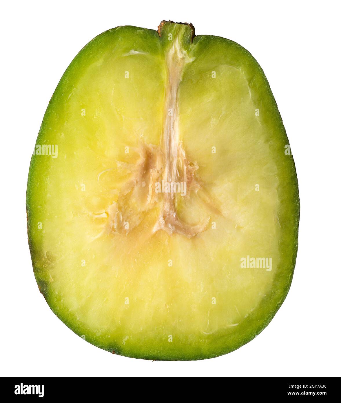 gros plan coupe transversale d'ambarella ou prune de juin, tranche d'un fruit comestible isolé sur fond blanc, macro Banque D'Images