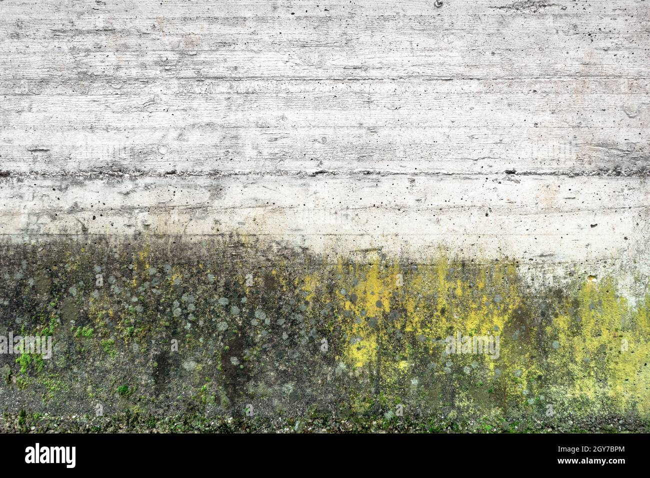 Moulez et mousse sur la texture du mur de gringe. La surface de l'ancien mur en béton recouvert de mousse ou d'algues. Banque D'Images