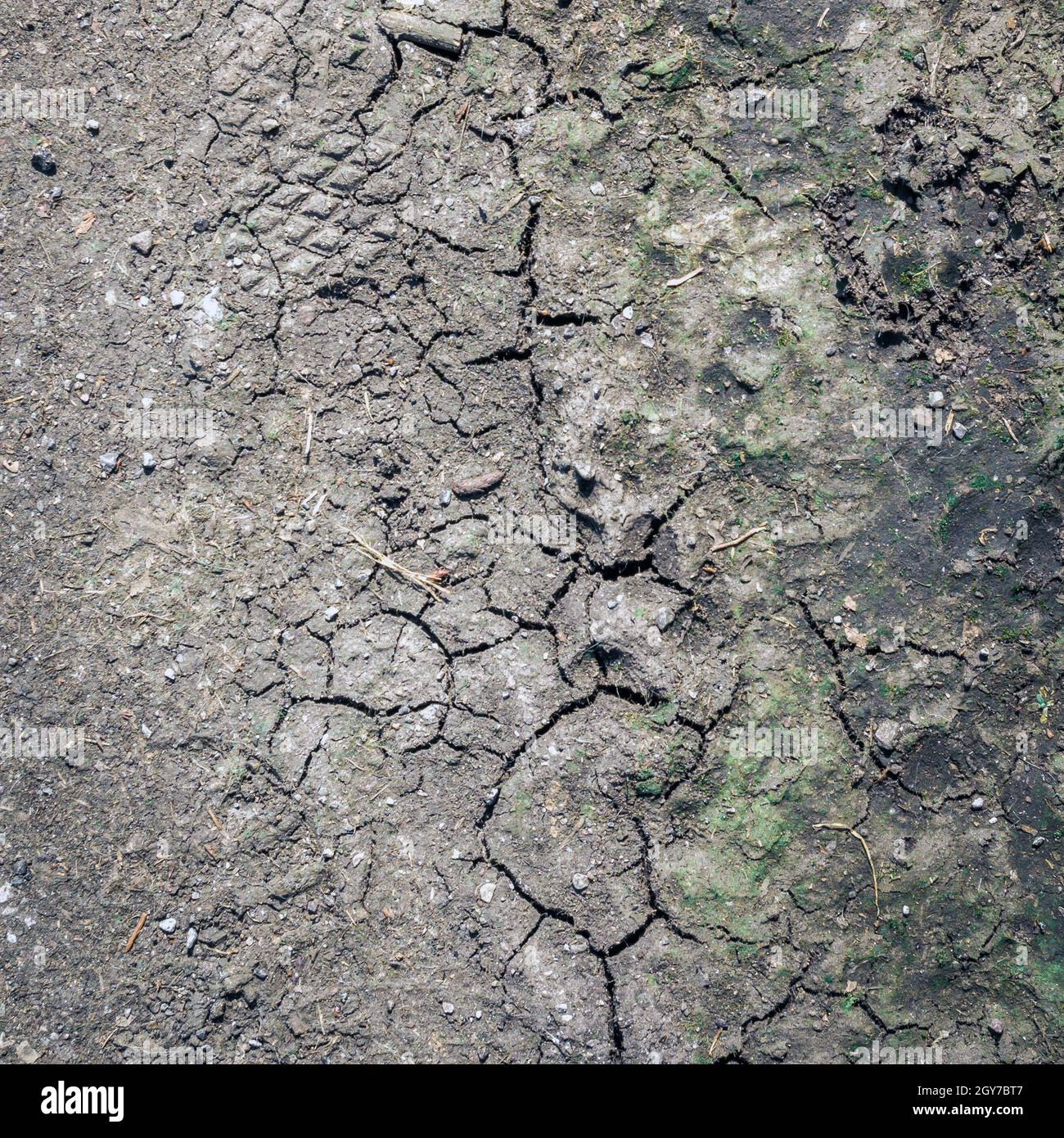 Texture de gros plan du sol sec. Craquer la terre pendant la saison sèche. Effet du réchauffement climatique. Banque D'Images