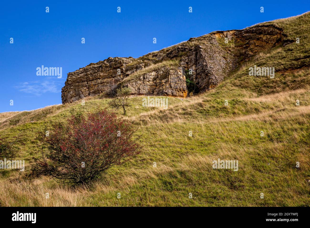 Un Bush de Hawthorn avec des baies rouges sous Castle Rock sur Cleeve Hill près de Cheltenham, Gloucestershire, Angleterre Banque D'Images