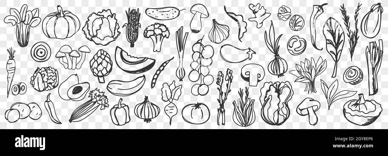 Ensemble de nouilles pour légumes.Collection de légumes frais de saison sains dessinés à la main, isolés sur fond transparent.Illustration de carr Banque D'Images