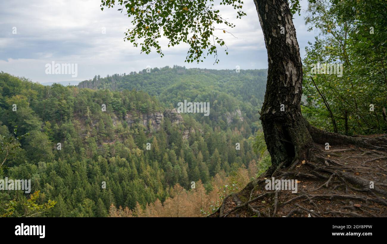 Vue magnifique sur les montagnes de grès d'Elbe Banque D'Images