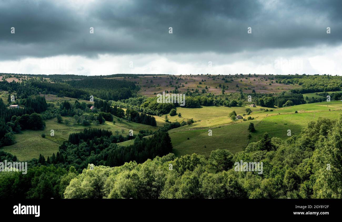 Col des Supeyres, landes des Hautes Chaumes, Parc naturel régional Livradois-Forez, département du Puy de Dôme, Auvergne-Rhône-Alpes, France Banque D'Images