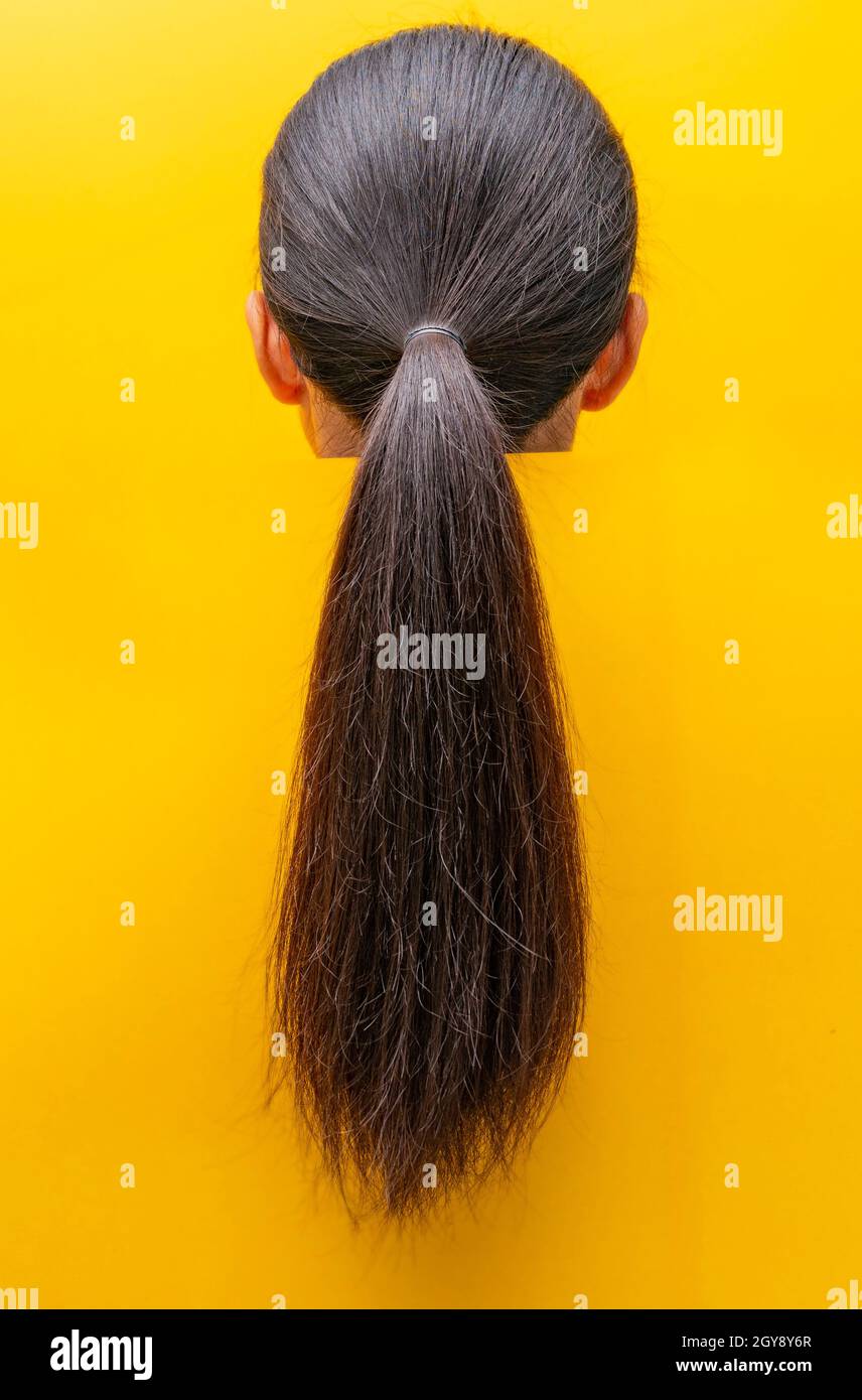 Vue arrière queue de cheval endommagée cheveux isolés sur fond jaune. Problème de cheveux secs et fragiles. Cheveux longs noirs à texture sèche. Femme asiatique avec faible Banque D'Images Vue arrière queue de cheval endommagée cheveux isolés sur fond jaune. Problème de cheveux secs et fragiles. Cheveux longs noirs à texture sèche. Femme asiatique avec faible Banque D'Images