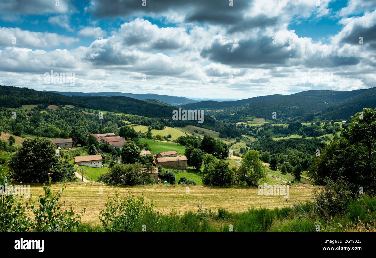 Col des Supeyres, landes des Hautes Chaumes, Parc naturel régional Livradois-Forez, département du Puy de Dôme, Auvergne-Rhône-Alpes, France Banque D'Images