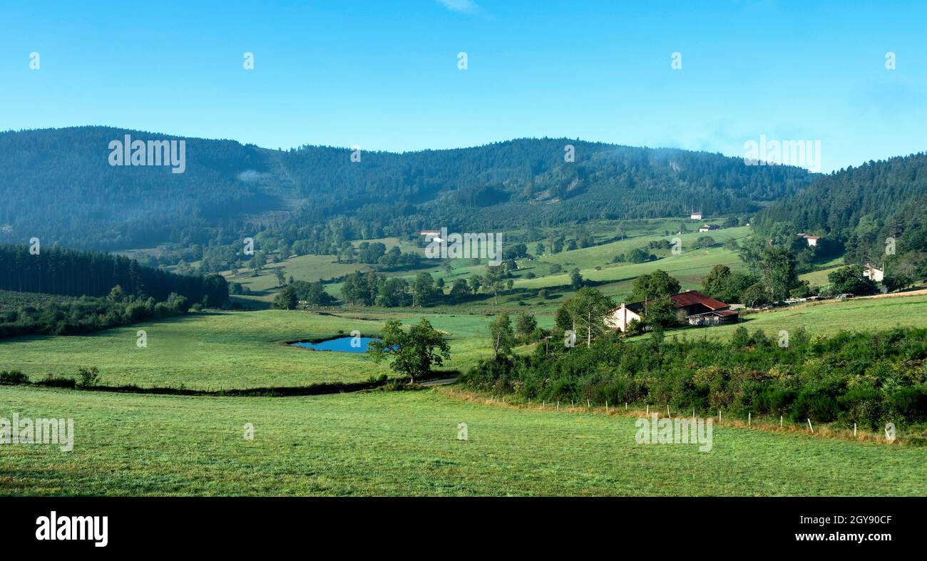 Paysage du Haut Forez dans le Parc naturel régional Livradois-Forez, département du Puy de Dome, Auvergne-Rhône-Alpes, France Banque D'Images