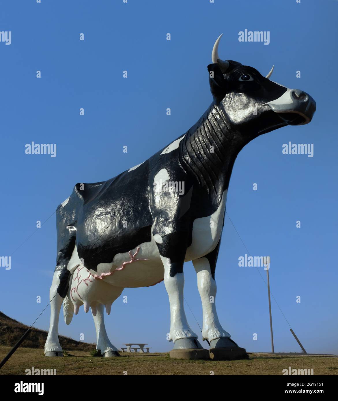 NEW SALEM, DAKOTA DU NORD - 3 octobre 2021 : Salem Sue, la plus grande vache Holstein du monde, érigée en 1974 par le Lions Club de New Salem en l'honneur de la da locale Banque D'Images
