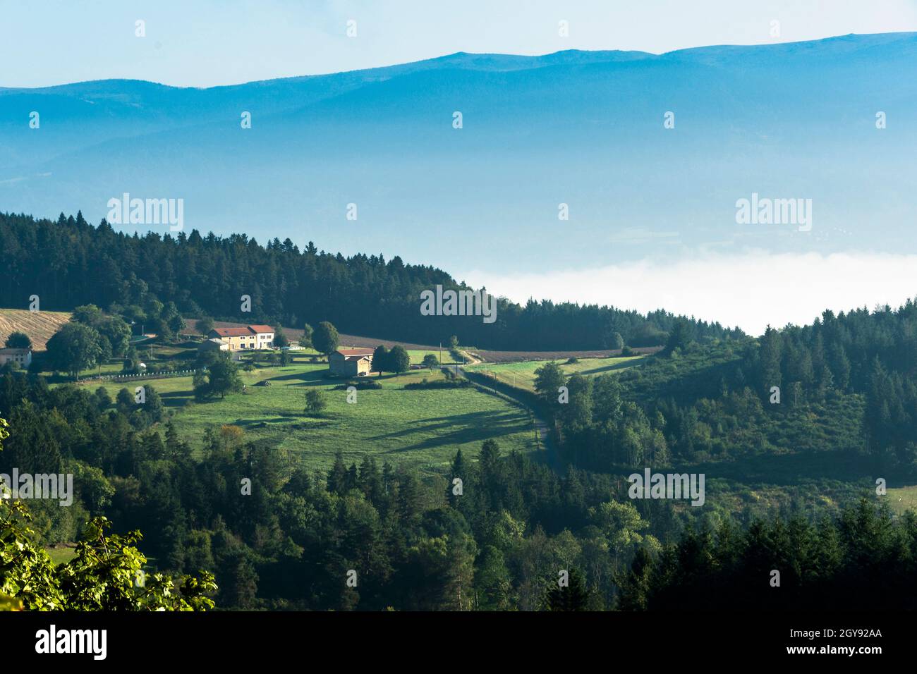 Paysage du Haut Forez dans le Parc naturel régional Livradois-Forez, département du Puy de Dome, Auvergne-Rhône-Alpes, France Banque D'Images