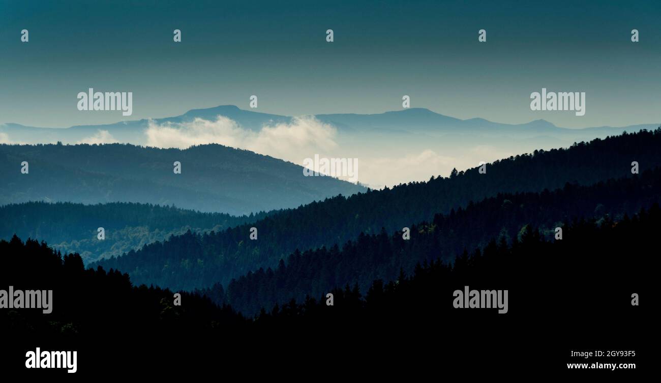 Paysage du Haut Forez dans le Parc naturel régional Livradois-Forez, département du Puy de Dome, Auvergne-Rhône-Alpes, France Banque D'Images