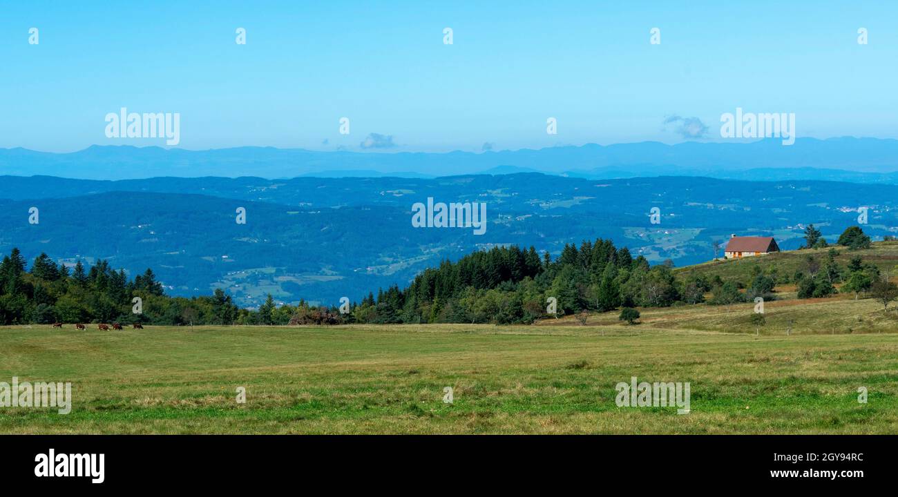 Ferme (Jasserie), pâturage d'été spécifique aux montagnes du Forez au col de Supeyres, département du Puy de Dome, Auvergne Rhône Alpes, France Banque D'Images