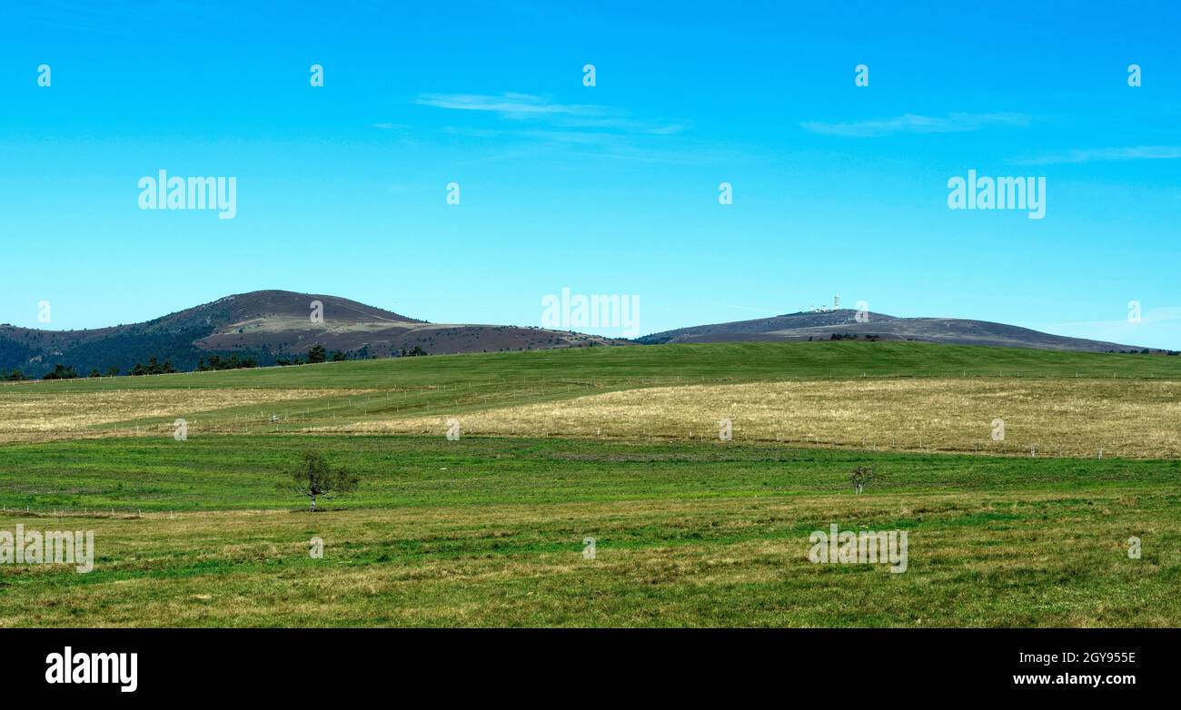 Col des Supeyres, landes des Hautes Chaumes, Parc naturel régional Livradois-Forez, département du Puy de Dôme, Auvergne-Rhône-Alpes, France Banque D'Images