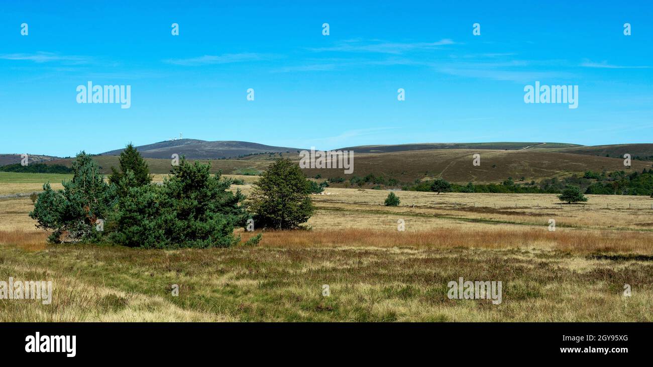 Col des Supeyres, landes des Hautes Chaumes, Parc naturel régional Livradois-Forez, département du Puy de Dôme, Auvergne-Rhône-Alpes, France Banque D'Images