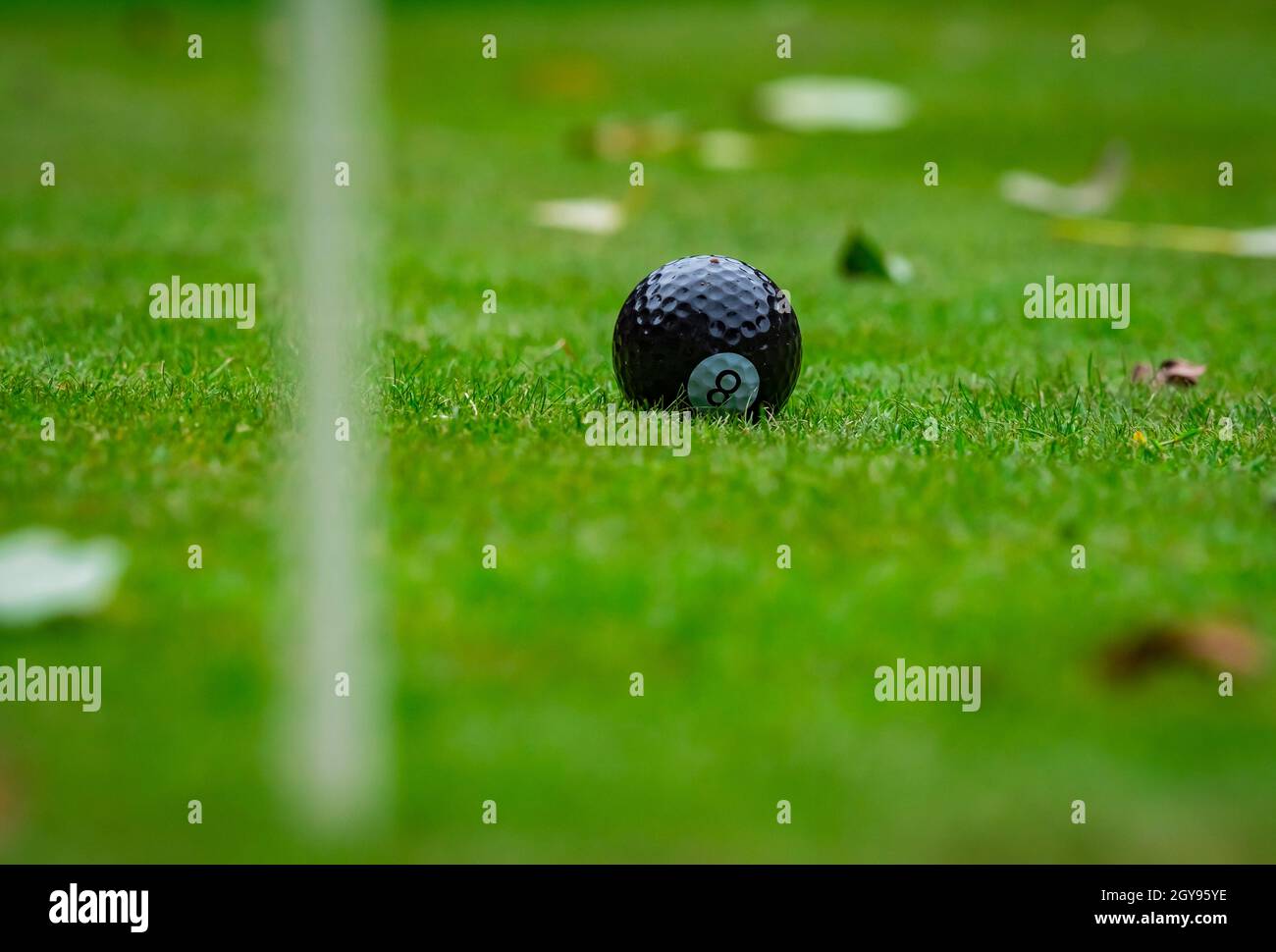 Balles de golf colorées Banque de photographies et d'images à haute  résolution - Alamy