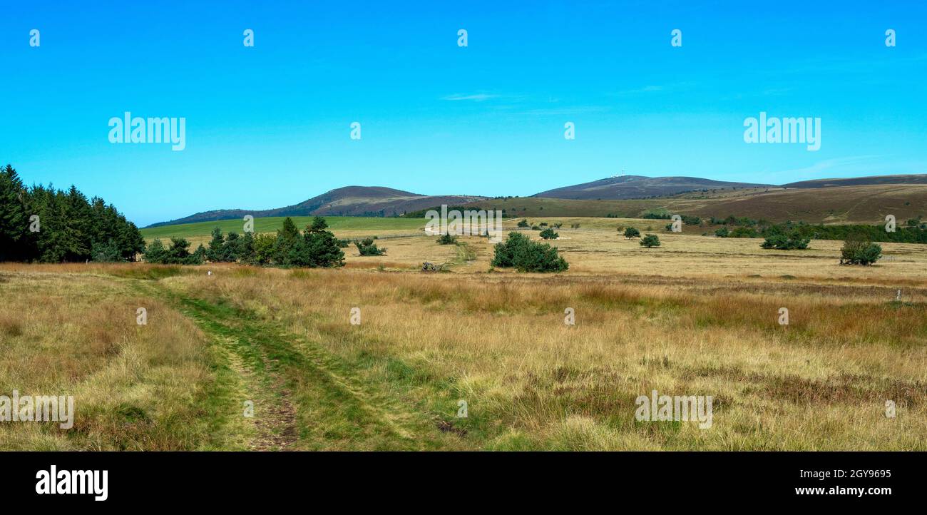 Col des Supeyres, landes des Hautes Chaumes, Parc naturel régional Livradois-Forez, département du Puy de Dôme, Auvergne-Rhône-Alpes, France Banque D'Images