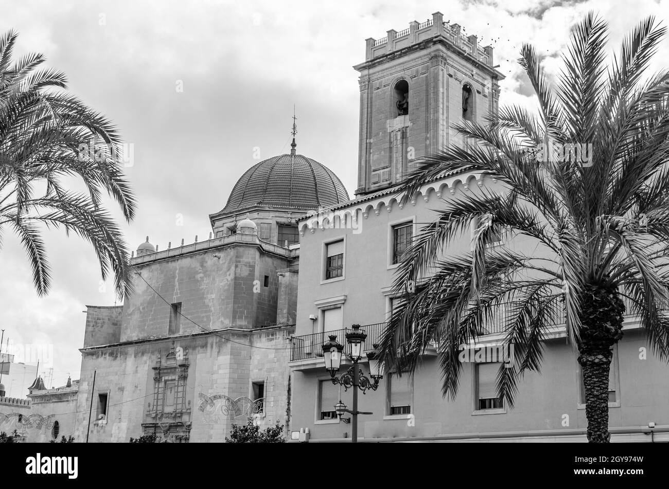 Vue sur la basilique baroque de la ville d'Elche, province d'Alicante, Espagne; image en noir et blanc Banque D'Images