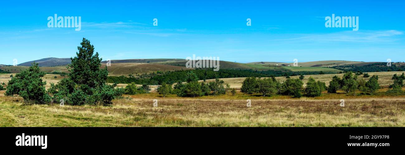 Col des Supeyres, landes des Hautes Chaumes, Parc naturel régional Livradois-Forez, département du Puy de Dôme, Auvergne-Rhône-Alpes, France Banque D'Images