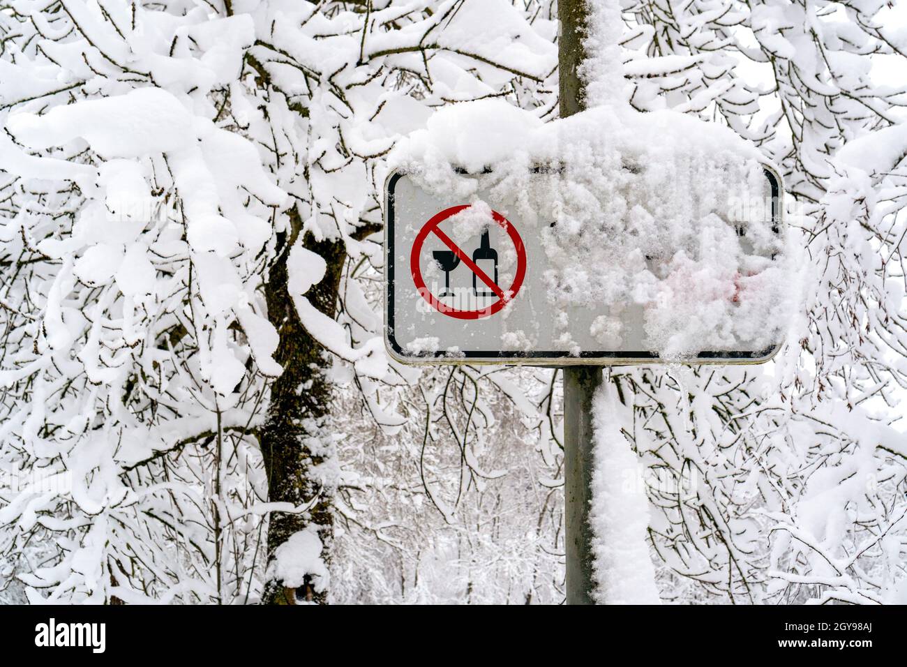 Panneau de zone sans alcool dans le parc public avec arbres enneigés. Saison d'hiver. Banque D'Images