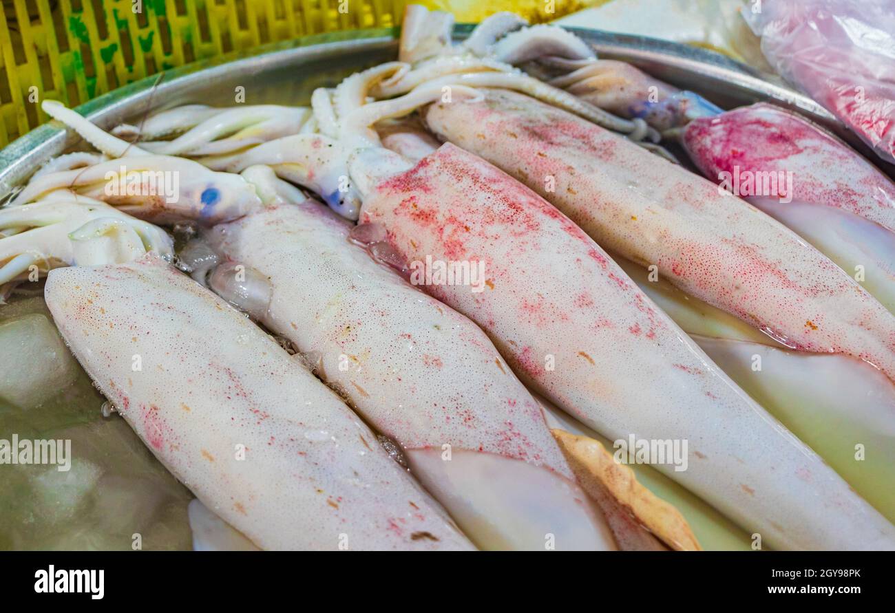 Pieuvres squides et autres fruits de mer dégoûtants cuisine thaïlandaise au marché de Bangrak sur Koh Samui en Thaïlande. Banque D'Images